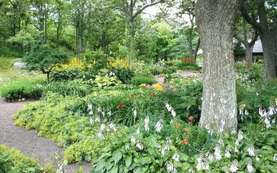 6 DIY Summer Landscaping Projects Homeowners Can Do