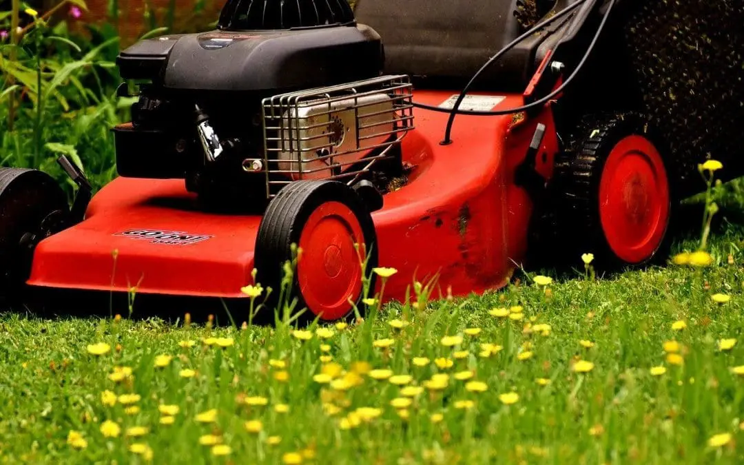 Cut Above the Rest: Expert Tips for Mowing Your Lawn Like a Pro