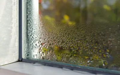 Dry Is Better: How to Prevent Condensation in Your Home