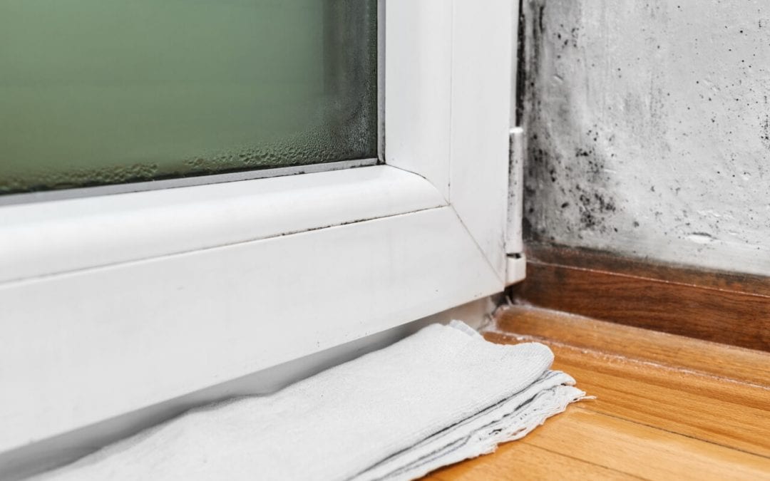 8 Ways to Prevent Mold Growth in Your Home