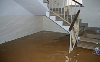 4 Ways to Protect Against Residential Water Damage