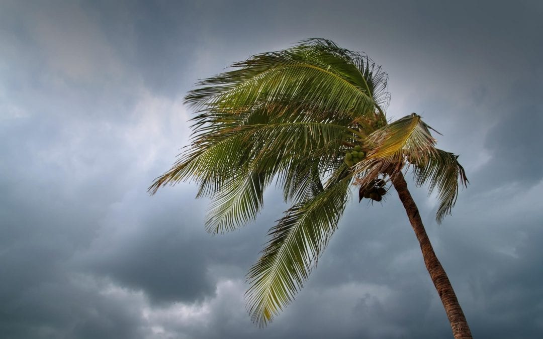 4 Ways to Prepare Your Home for Hurricane Season