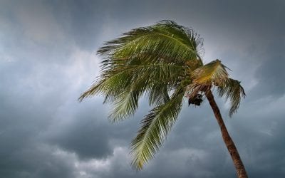 4 Ways to Prepare Your Home for Hurricane Season
